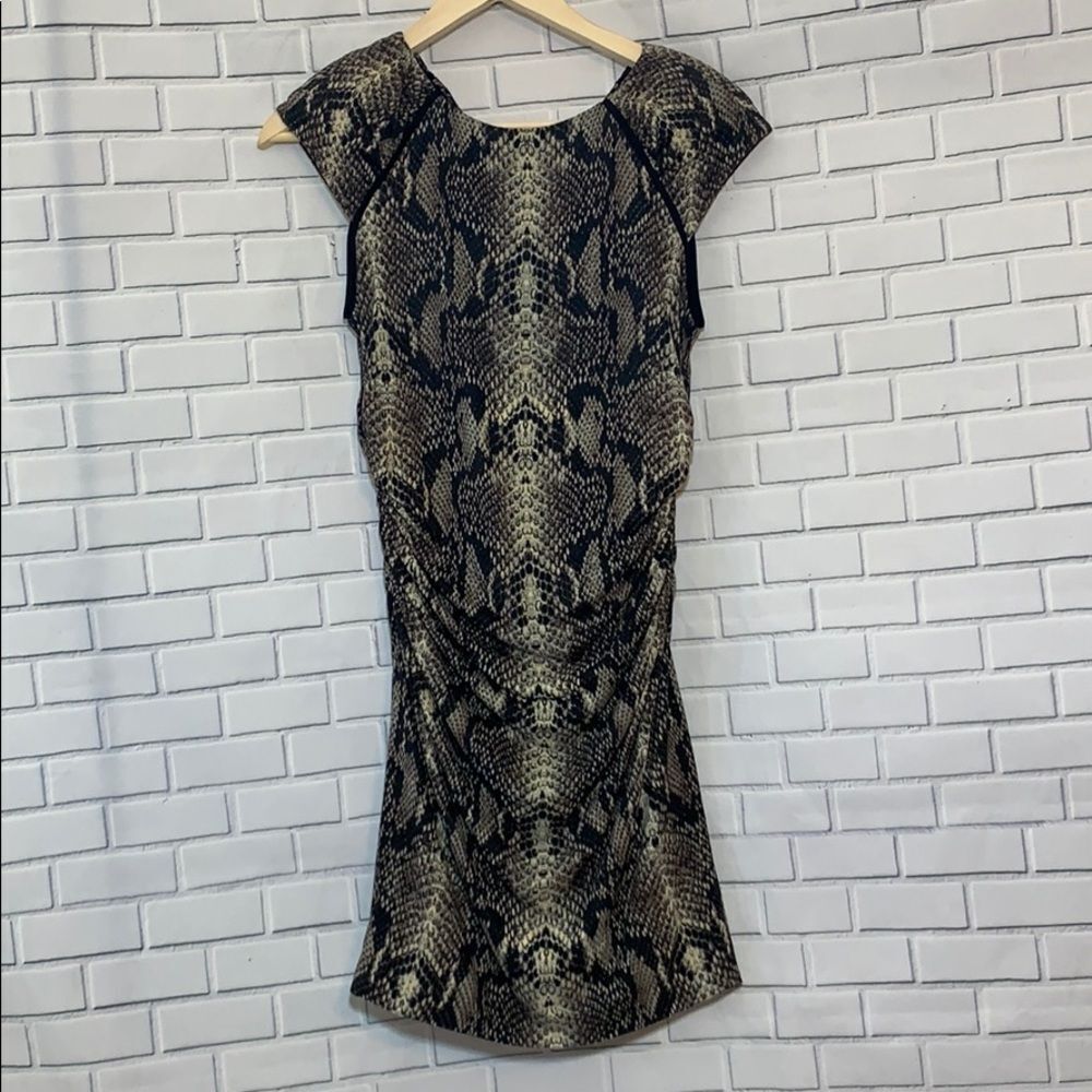 Anthro Ivy & Blu Snakeskin Print Knit‎ DressSize 4